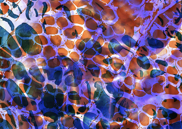 Br&uuml;ten wir die Welt neu aus